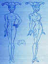 378.jpg (19950 octets)