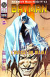batmanhs12.jpg (71944 octets)